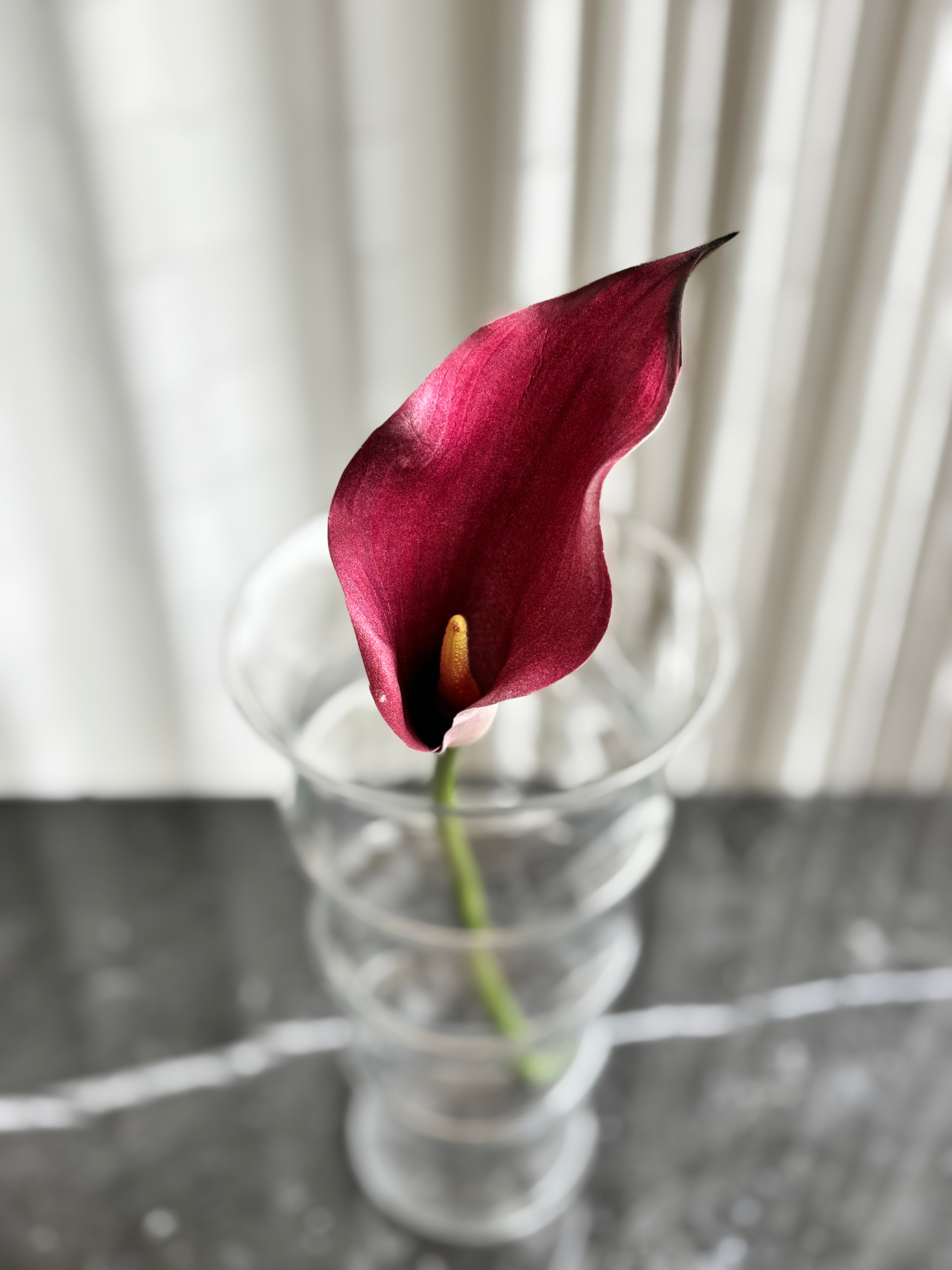 Kunstig calla lilje i rød