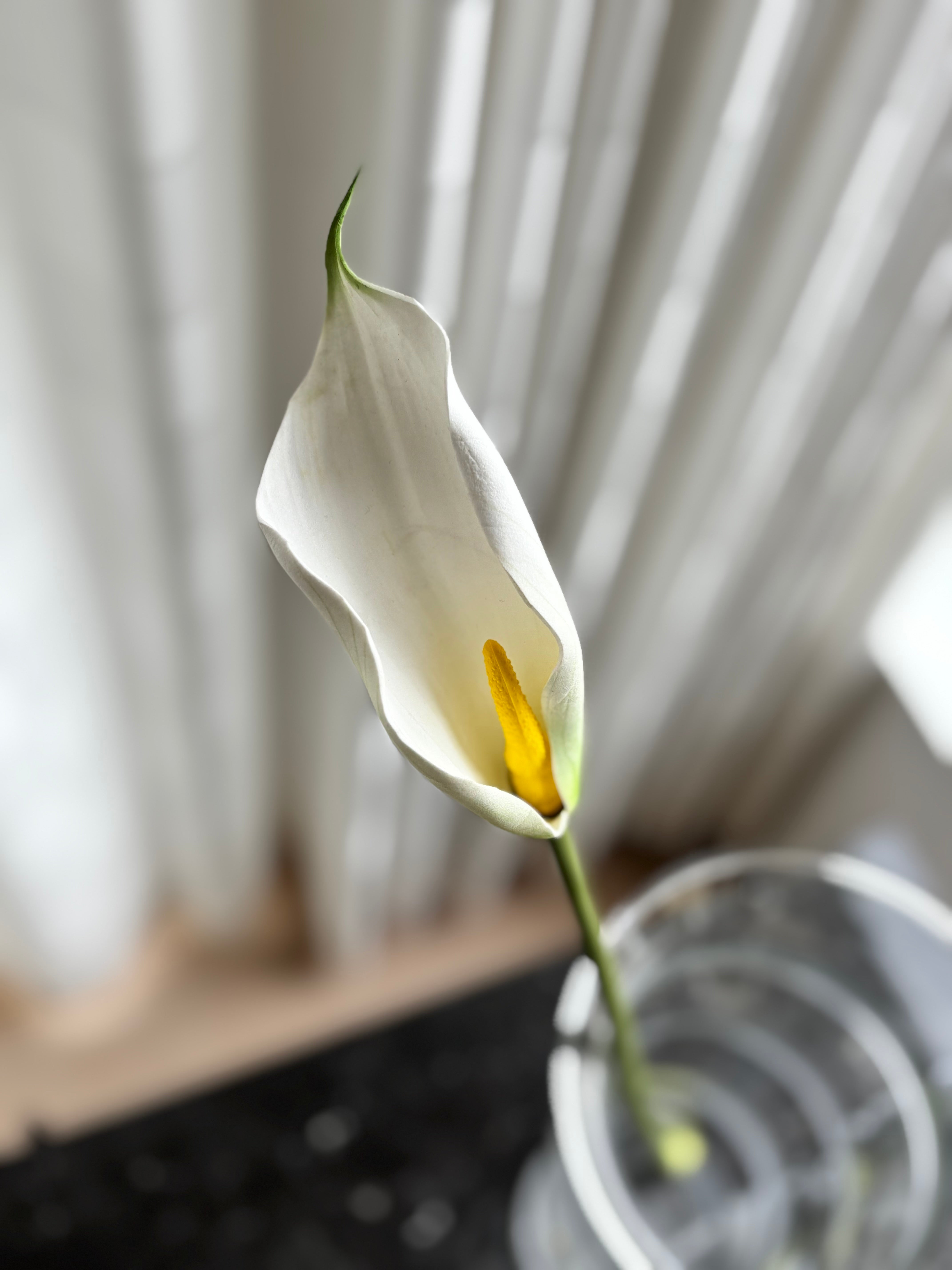 Kunstig calla lilje i hvid